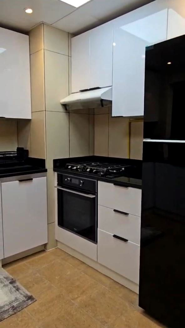 Kitchen cooking wall with built-in oven, hob and extractor hood
